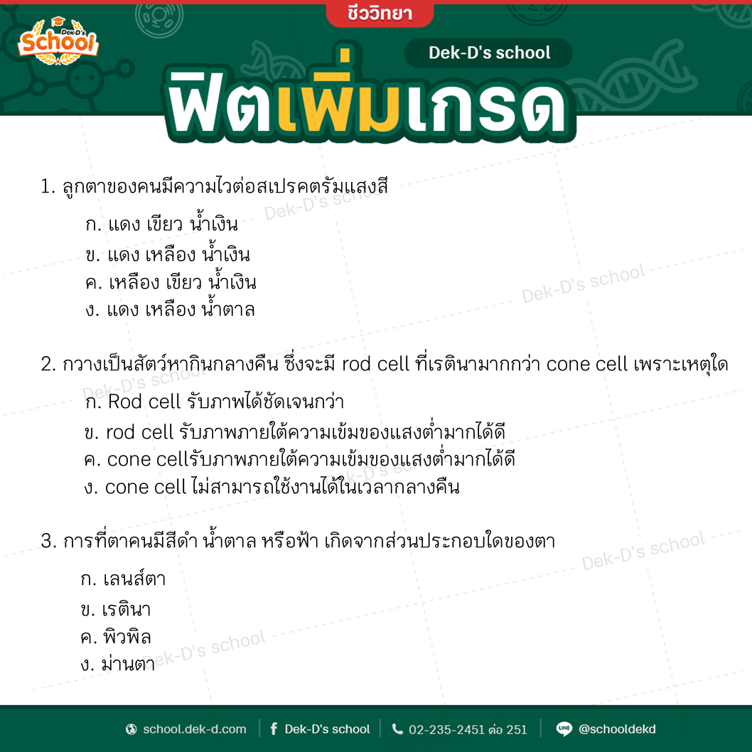 ตัวอย่างโจทย์ เรื่อง ดวงตา