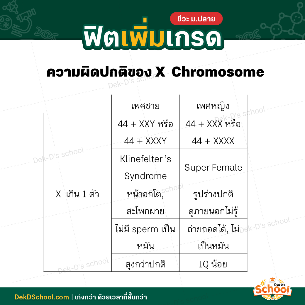 ึความผิดปกติของ X Chromosome - X เกิน 1 ตัว