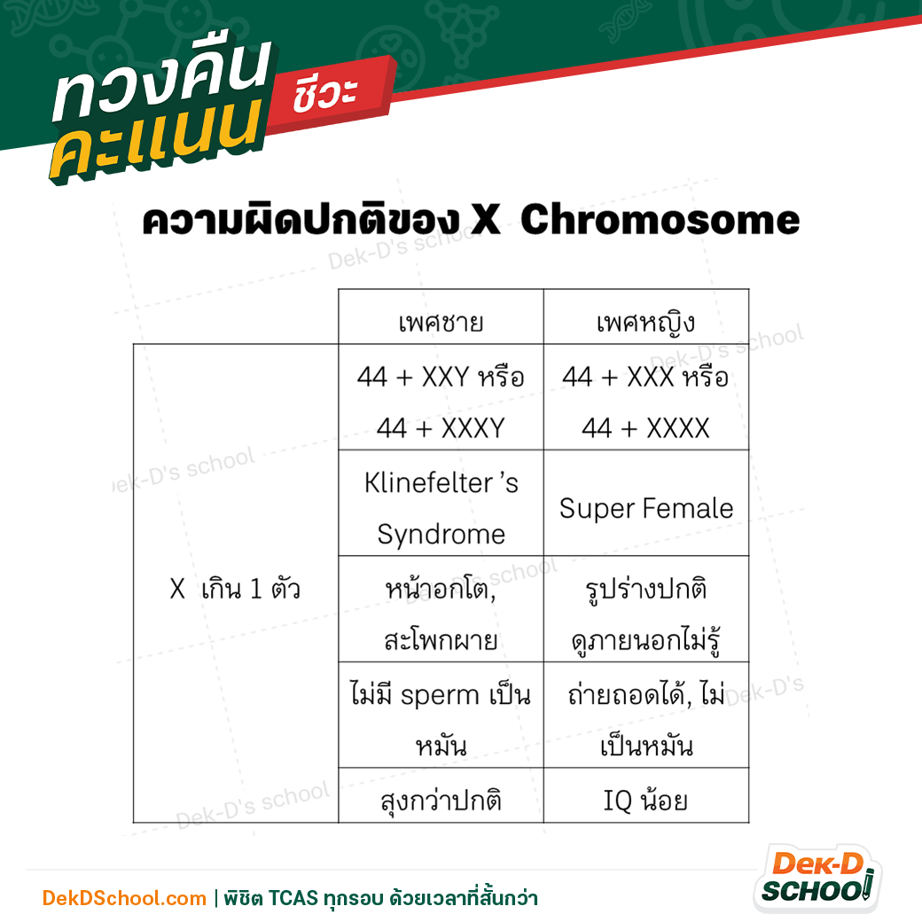 ความผิดปกติของ X Chromosome