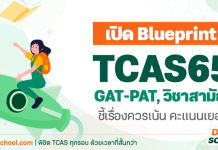 Test Blueprint TCAS65