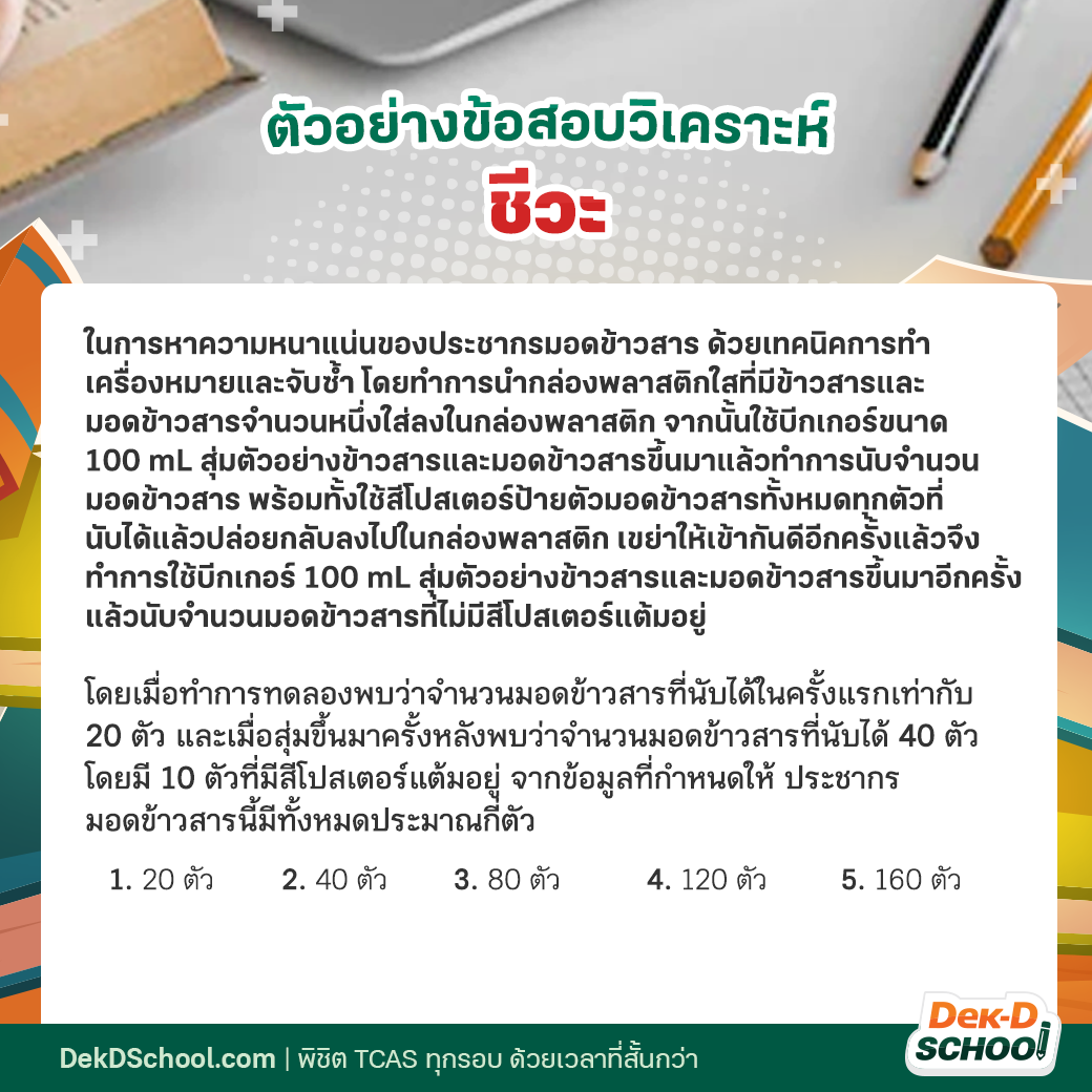 My Image 23