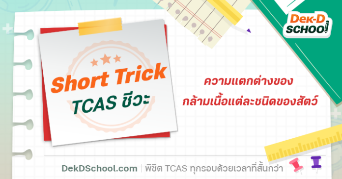 เทคนิคจำ!! ความแตกต่างของ กล้ามเนื้อ แต่ละชนิดของสัตว์