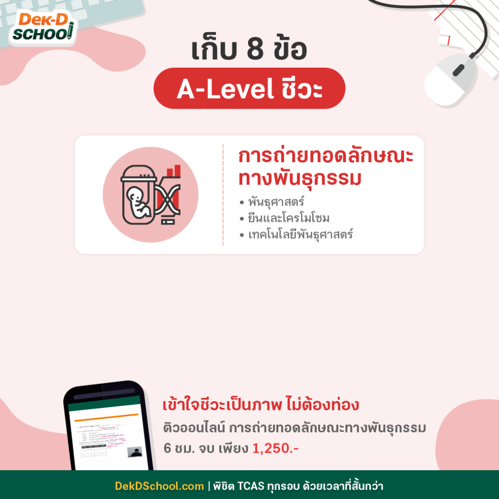 เก็บ 8 ข้อ ชีวะ