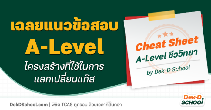 เฉลยข้อสอบ A-level ชีววิทยา โครงสร้างที่ใช้ในการแลกเปลี่ยนแก๊ส